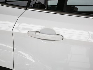 2019EcoBoost 180  VI ^