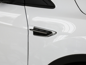 2019EcoBoost 180  VI ^