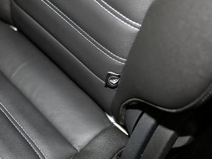 2019EcoBoost 180 (q) VI g