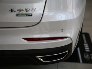 2019EcoBoost 180 ǿؕr V ^