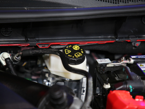 2020EcoBoost 245 v ST-LINE 