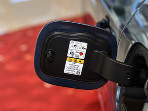 2020EcoBoost 245  (ji)^