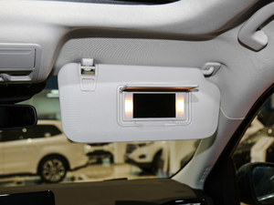 2020EcoBoost 245 (q) g