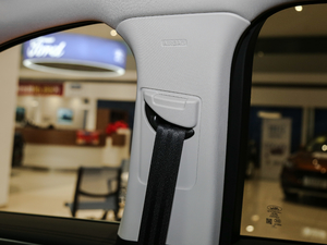 2020EcoBoost 245 (q) g