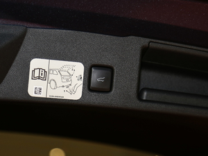 2020EcoBoost 245 (q) g