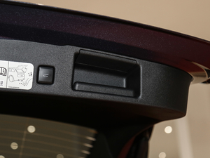 2020EcoBoost 245 (q) g