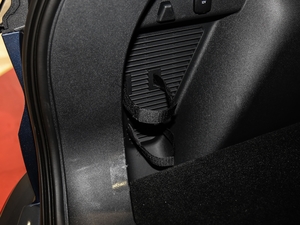 2020EcoBoost 245 (q) g