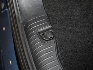 2020EcoBoost 245 (q) g