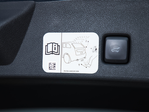 2020EcoBoost 245 (q) (ji)^