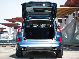 2020EcoBoost 245 (q) g