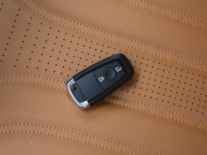 2020EcoBoost 245 (q) ܇耳