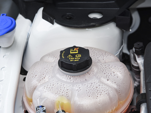 2020EcoBoost 245 (q) 