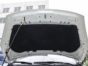 2020EcoBoost 245 (q) 