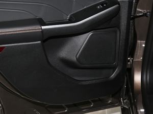 2020EcoBoost 245 ۼ g