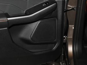 2020EcoBoost 245 ۼ g