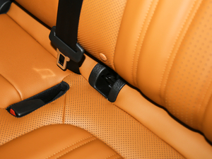 2020EcoBoost 245 ۼ g