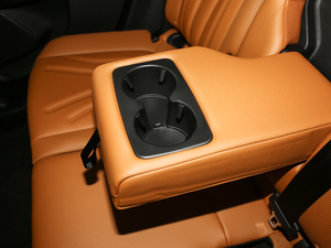 2020EcoBoost 245 ۼ g