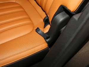 2020EcoBoost 245 ۼ g