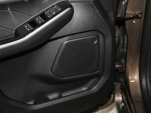 2020EcoBoost 245 ۼ g