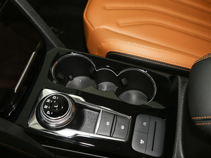 2020EcoBoost 245 ۼ g