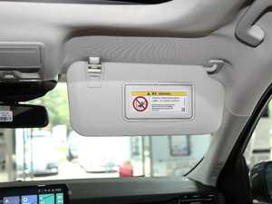 2020EcoBoost 245 ۼ g