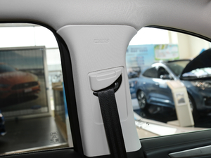 2020EcoBoost 245 ۼ g