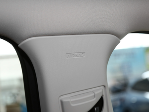 2020EcoBoost 245 ۼ g