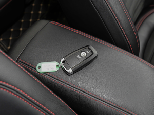 2020EcoBoost 245 v ST-LINE ܇耳