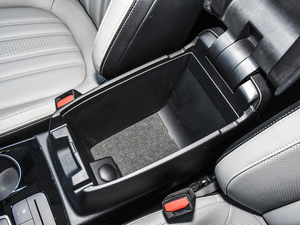 2020EcoBoost 245 (q)ҫ g