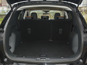 2020EcoBoost 245 ҫ g