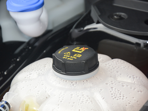 2020EcoBoost 245 (q)ҫ 