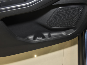 2020EcoBoost 245  ǰTg