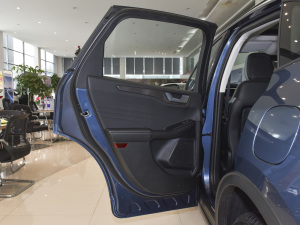 2020EcoBoost 245  ܇T