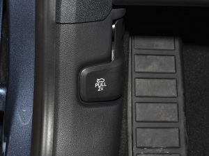 2020EcoBoost 245 (q) g