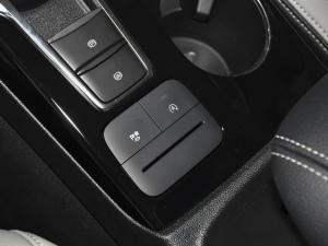 2020EcoBoost 245  п؅^