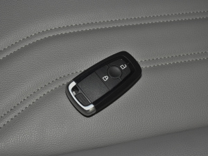 2020EcoBoost 245 (q) ܇耳