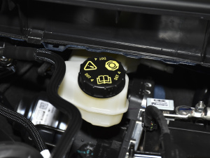 2020EcoBoost 245 (q) 