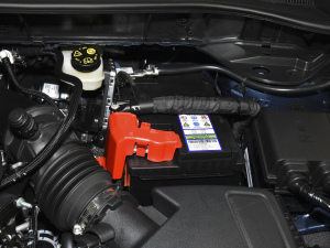 2020EcoBoost 245 (q) 