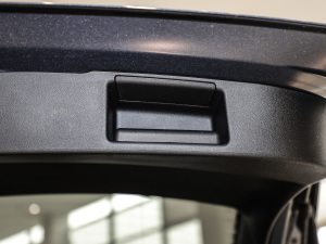 2020EcoBoost 245 ۼ g