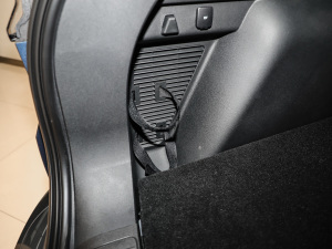 2020EcoBoost 245 ۼ g