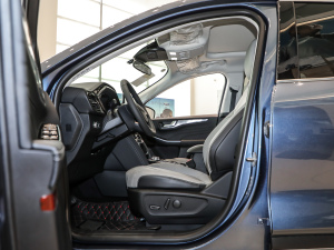 2020EcoBoost 245 (q)ۼ ǰſg