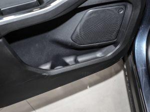 2020EcoBoost 245 ۼ g