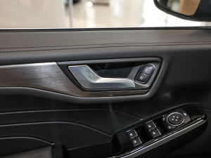 2020EcoBoost 245 ۼ g