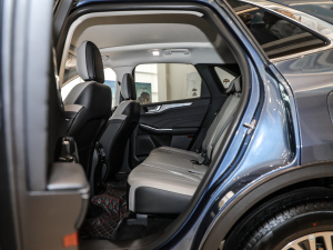 2020EcoBoost 245 (q)ۼ ſg