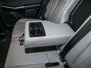 2020EcoBoost 245 (q)ۼ 