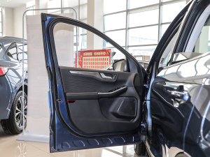 2020EcoBoost 245 (q)ۼ {λ܇T