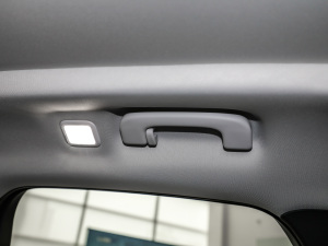 2020EcoBoost 245 ۼ g