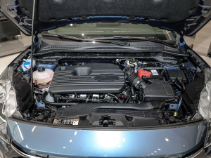 2020EcoBoost 245 (q)ۼ l(f)әC