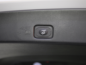 2020EcoBoost 245 JPlus 7 g