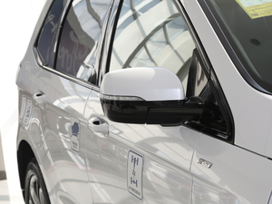 2020EcoBoost 245 (q)ST-Line 7 (x)(ji)^